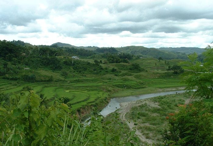 Rijstvelden op Sumba in Indonesie
